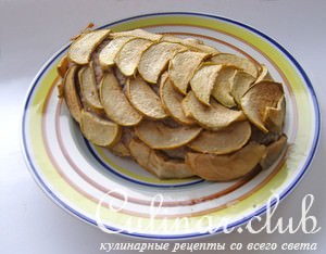    (Apple Meatloaf)