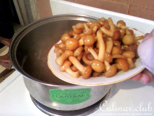 Грибной супчик из опят.