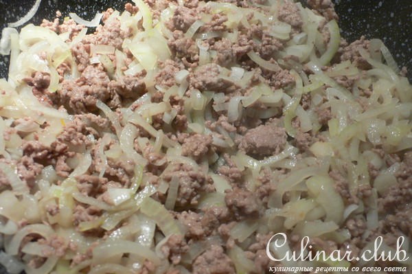 Тушёная картошка с луком и фаршем( Geschmortes Zwiebelhackfleisch )