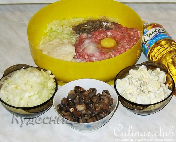 Зразы мясные с грибами (Тест-драйв)