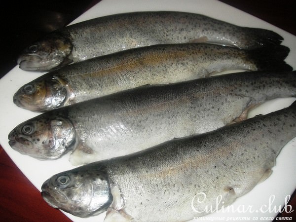 Форель запеченная с козьим сыром и зеленью