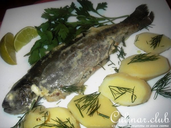 Форель запеченная с козьим сыром и зеленью