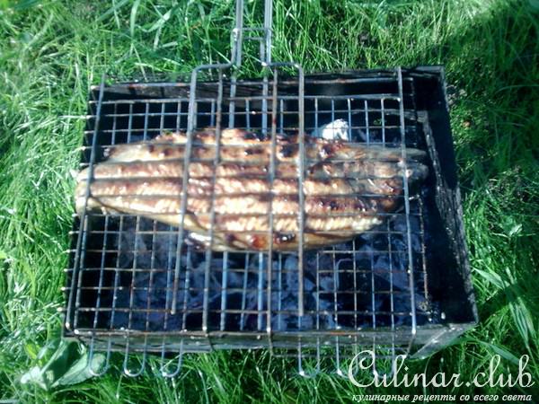 шашлычок из форельки речной