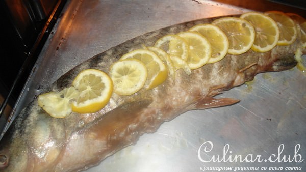 Рыбка с брюшком