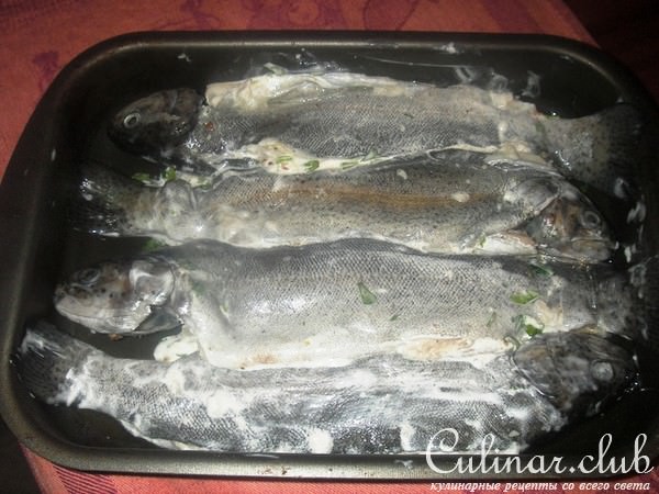Форель запеченная с козьим сыром и зеленью