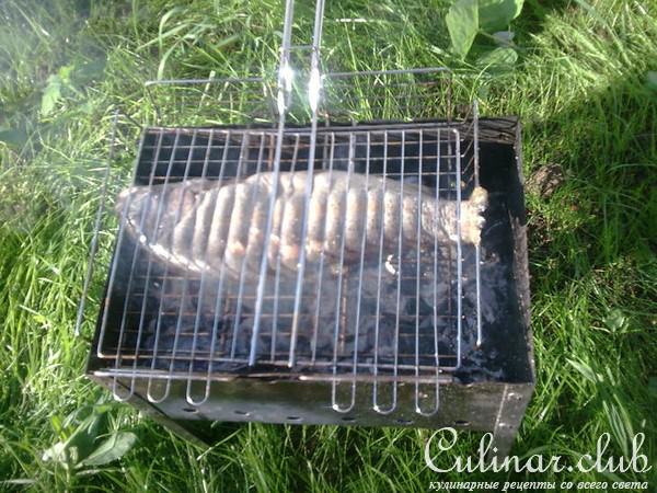 шашлычок из форельки речной