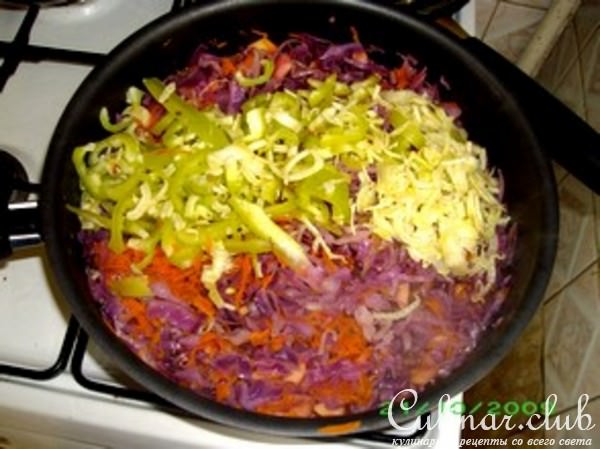 Солянка с краснокочанной капустой