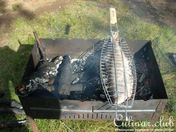 Окунь на углях