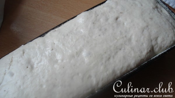    Poolish -   :  ,  ,      ... 