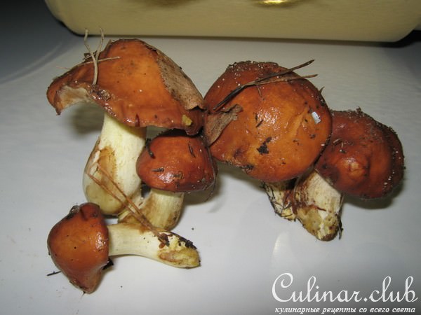 Маринованные грибочки