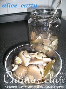 Вешенка маринованная